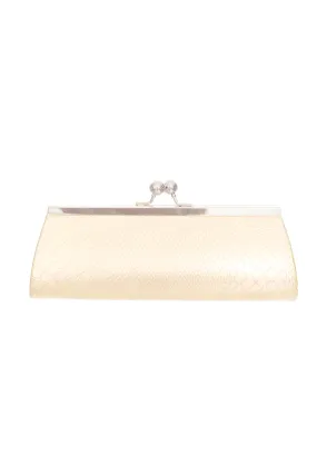 Golden Wallet Purse Clutch - Closeout