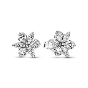 Pandora Herbario Brillante Earrings 292633C01